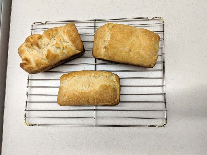 53098669_596289474168222_5803623353843449856_n